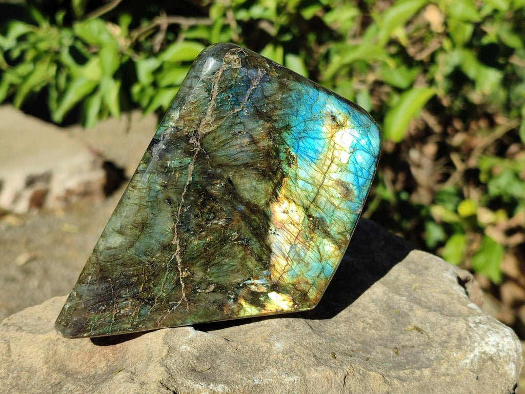 Polished Labradorite Standing Display Pieces x 2 From Madagascar - Toprock Gemstones and Minerals 