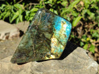 Polished Labradorite Standing Display Pieces x 2 From Madagascar - Toprock Gemstones and Minerals 