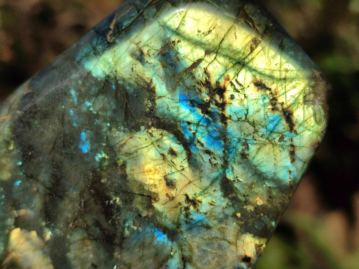 Polished Labradorite Standing Display Pieces x 2 From Madagascar - Toprock Gemstones and Minerals 