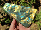Polished Labradorite Standing Display Pieces x 2 From Madagascar - Toprock Gemstones and Minerals 