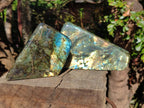 Polished Labradorite Standing Display Pieces x 2 From Madagascar - Toprock Gemstones and Minerals 