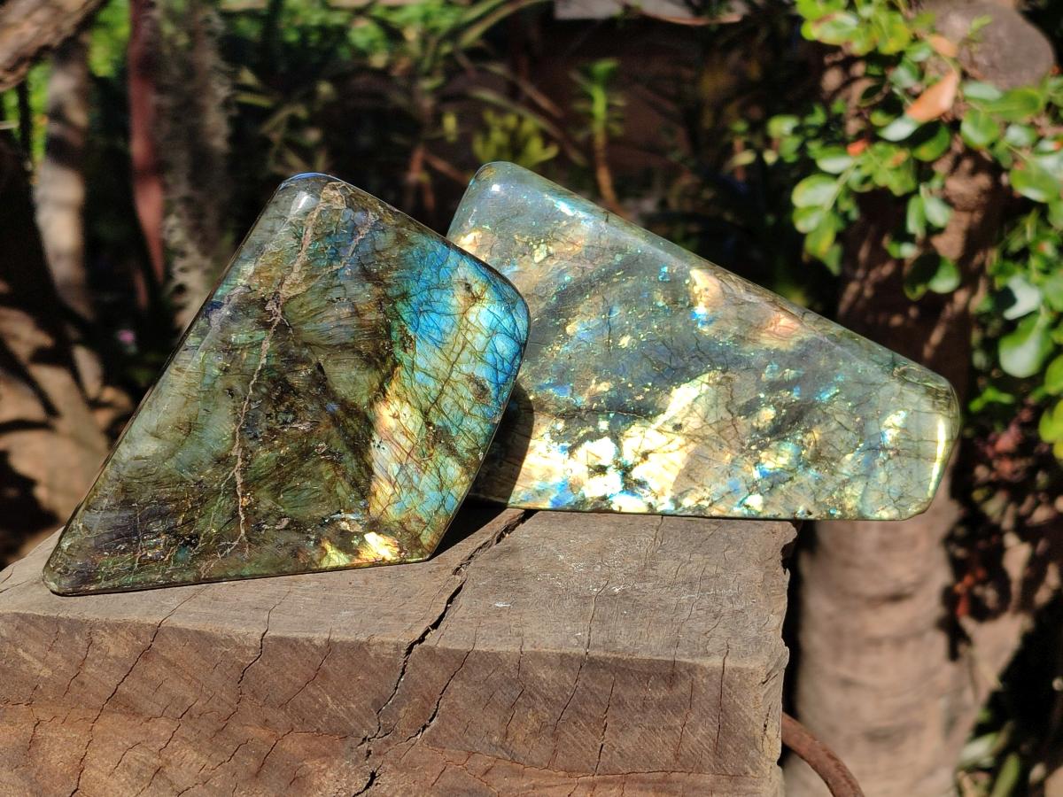 Polished Labradorite Standing Display Pieces x 2 From Madagascar - Toprock Gemstones and Minerals 