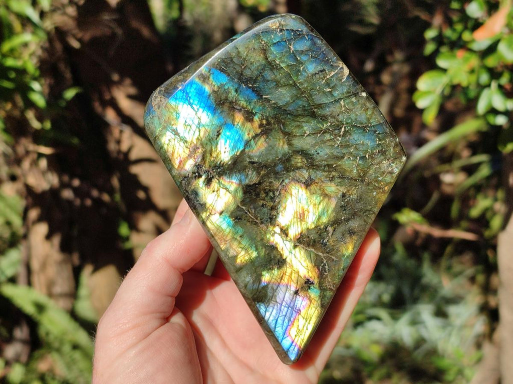 Polished Labradorite Standing Display Pieces x 2 From Madagascar - Toprock Gemstones and Minerals 