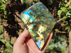 Polished Labradorite Standing Display Pieces x 2 From Madagascar - Toprock Gemstones and Minerals 