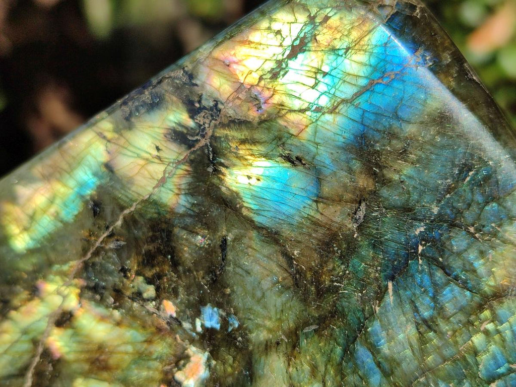 Polished Labradorite Standing Display Pieces x 2 From Madagascar - Toprock Gemstones and Minerals 