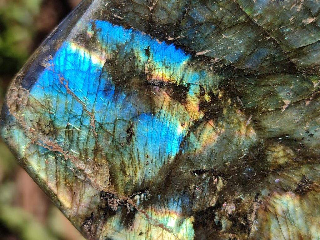 Polished Labradorite Standing Display Pieces x 2 From Madagascar - Toprock Gemstones and Minerals 