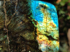 Polished Labradorite Standing Display Pieces x 2 From Madagascar - Toprock Gemstones and Minerals 