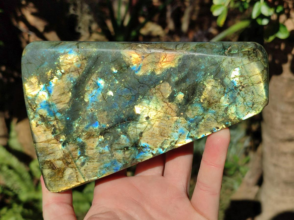 Polished Labradorite Standing Display Pieces x 2 From Madagascar - Toprock Gemstones and Minerals 