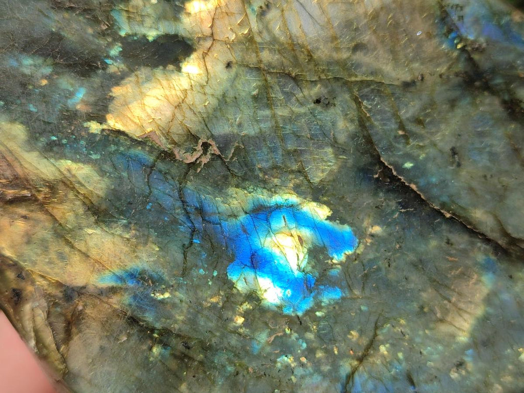 Polished Labradorite Standing Display Pieces x 2 From Madagascar - Toprock Gemstones and Minerals 