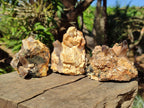 Natural Smokey Quartz Specimens with Associated Minerals x 6 From Mulanje, Malawi - Toprock Gemstones and Minerals 