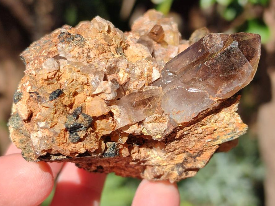 Natural Smokey Quartz Specimens with Associated Minerals x 6 From Mulanje, Malawi - Toprock Gemstones and Minerals 