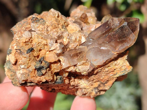 Natural Smokey Quartz Specimens with Associated Minerals x 6 From Mulanje, Malawi - Toprock Gemstones and Minerals 