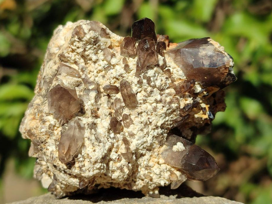 Natural Smokey Quartz Specimens with Associated Minerals x 6 From Mulanje, Malawi - Toprock Gemstones and Minerals 