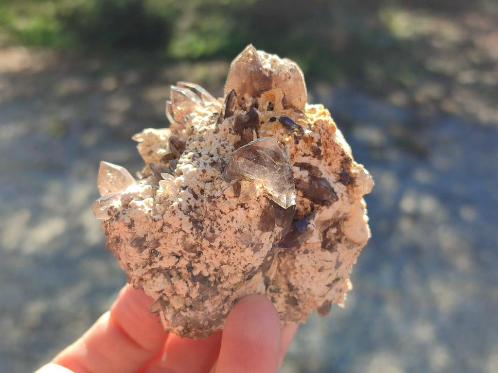 Natural Smokey Quartz Specimens with Associated Minerals x 6 From Mulanje, Malawi - Toprock Gemstones and Minerals 