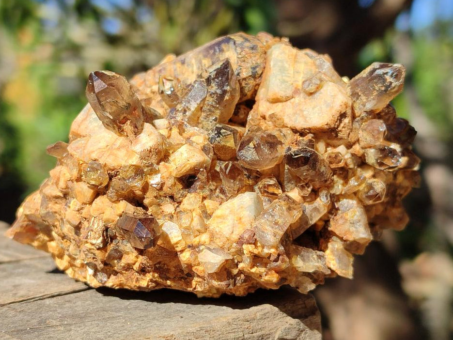 Natural Smokey Quartz Specimens with Associated Minerals x 6 From Mulanje, Malawi - Toprock Gemstones and Minerals 