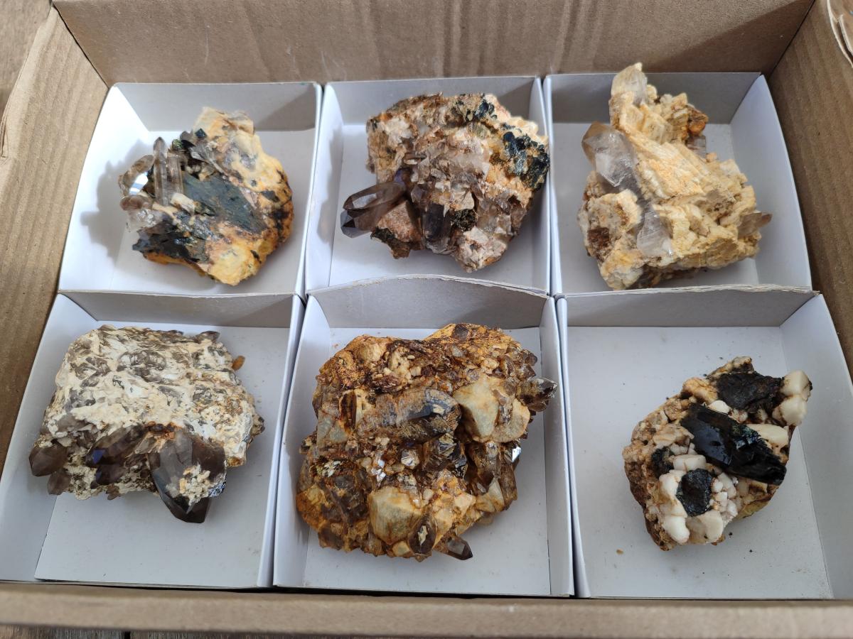 Natural Smokey Quartz Specimens with Associated Minerals x 6 From Mulanje, Malawi - Toprock Gemstones and Minerals 