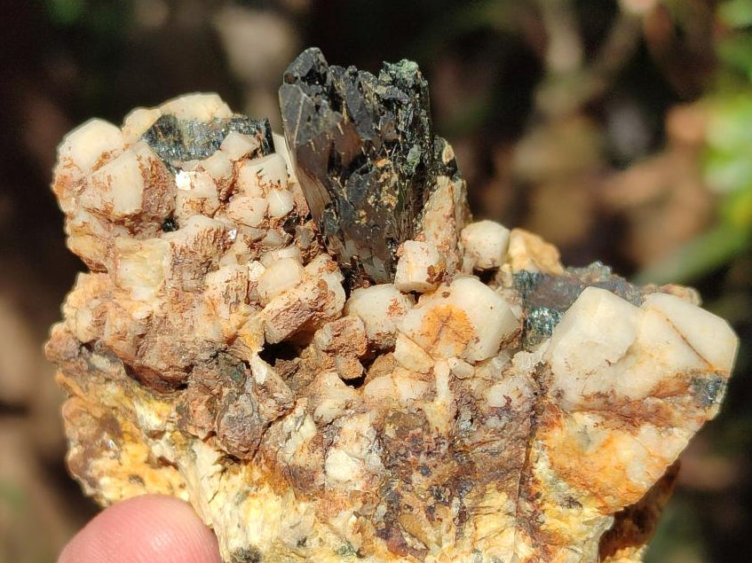 Natural Smokey Quartz Specimens with Associated Minerals x 6 From Mulanje, Malawi - Toprock Gemstones and Minerals 