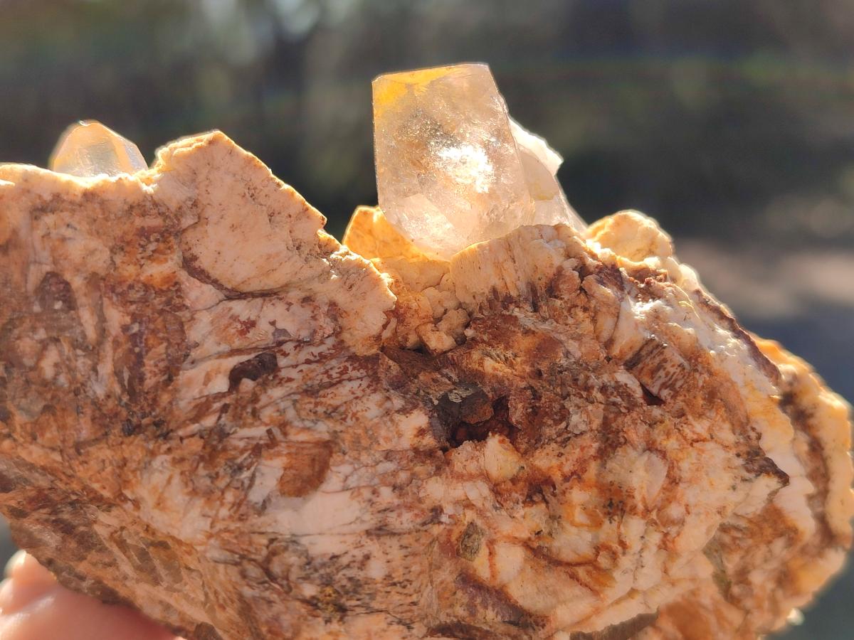 Natural Smokey Quartz Specimens with Associated Minerals x 6 From Mulanje, Malawi - Toprock Gemstones and Minerals 