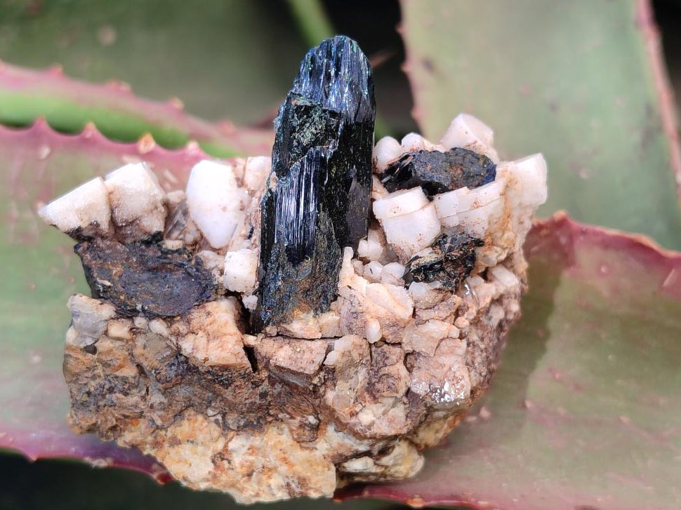 Natural Smokey Quartz Specimens with Associated Minerals x 6 From Mulanje, Malawi - Toprock Gemstones and Minerals 