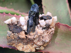 Natural Smokey Quartz Specimens with Associated Minerals x 6 From Mulanje, Malawi - Toprock Gemstones and Minerals 