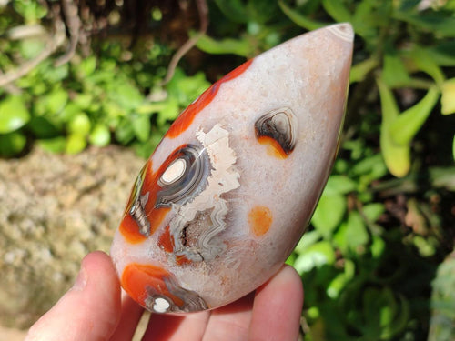 Polished Carnelian Agate Gemstone Standing Display Pieces x 6 From Madagascar - Toprock Gemstones and Minerals 