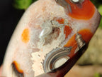 Polished Carnelian Agate Gemstone Standing Display Pieces x 6 From Madagascar - Toprock Gemstones and Minerals 