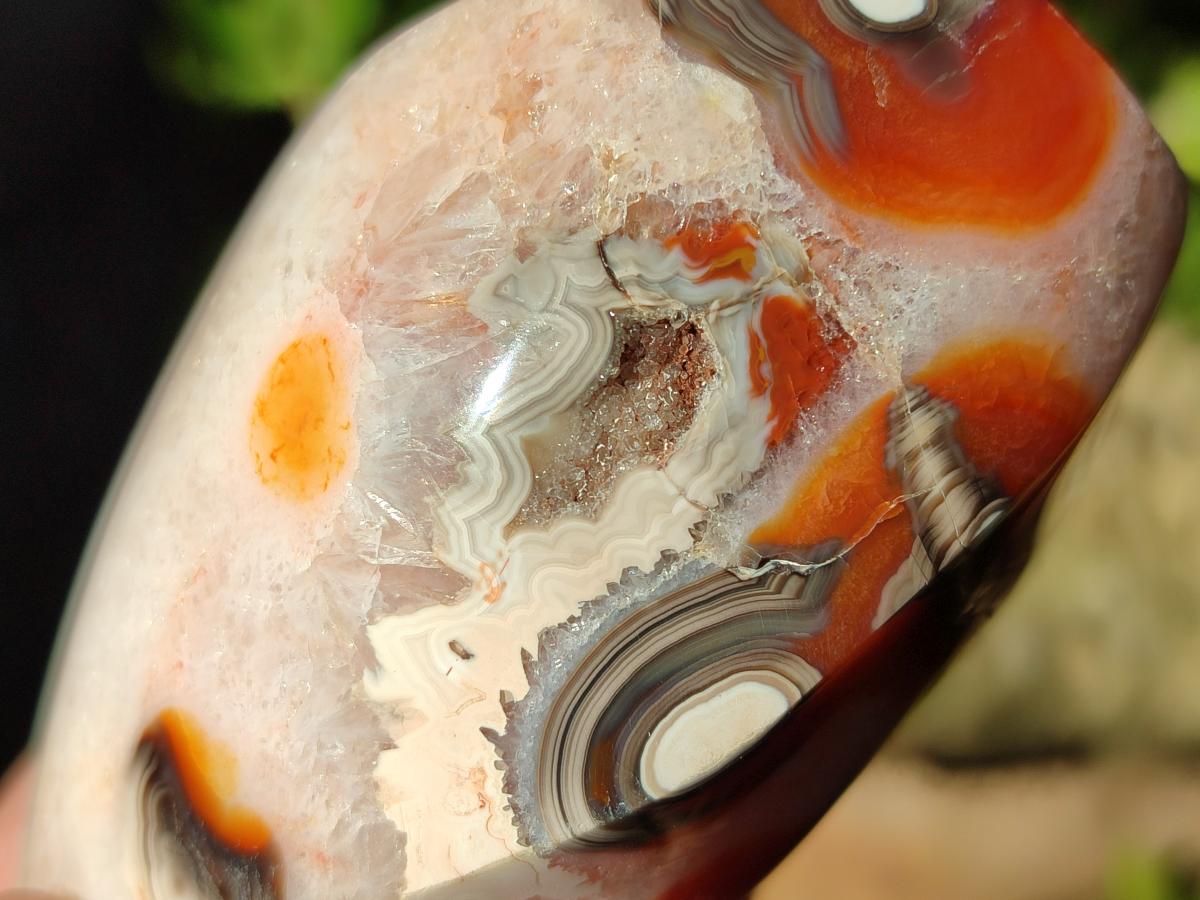 Polished Carnelian Agate Gemstone Standing Display Pieces x 6 From Madagascar - Toprock Gemstones and Minerals 