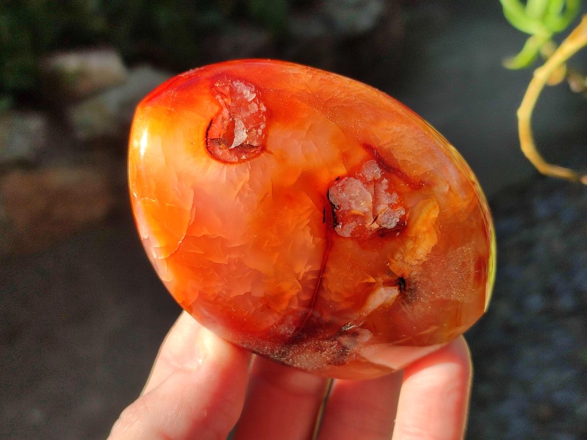 Polished Carnelian Agate Gemstone Standing Display Pieces x 6 From Madagascar - Toprock Gemstones and Minerals 
