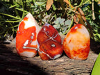 Polished Carnelian Agate Gemstone Standing Display Pieces x 6 From Madagascar - Toprock Gemstones and Minerals 