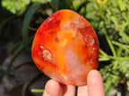 Polished Carnelian Agate Gemstone Standing Display Pieces x 6 From Madagascar - Toprock Gemstones and Minerals 