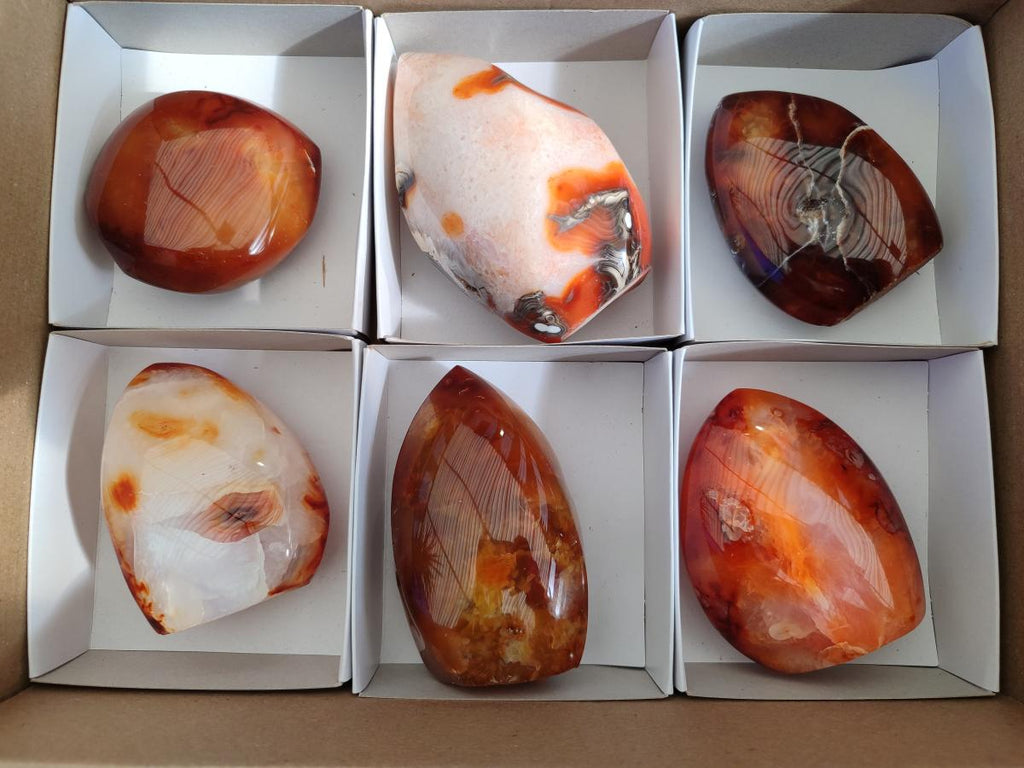 Polished Carnelian Agate Gemstone Standing Display Pieces x 6 From Madagascar - Toprock Gemstones and Minerals 