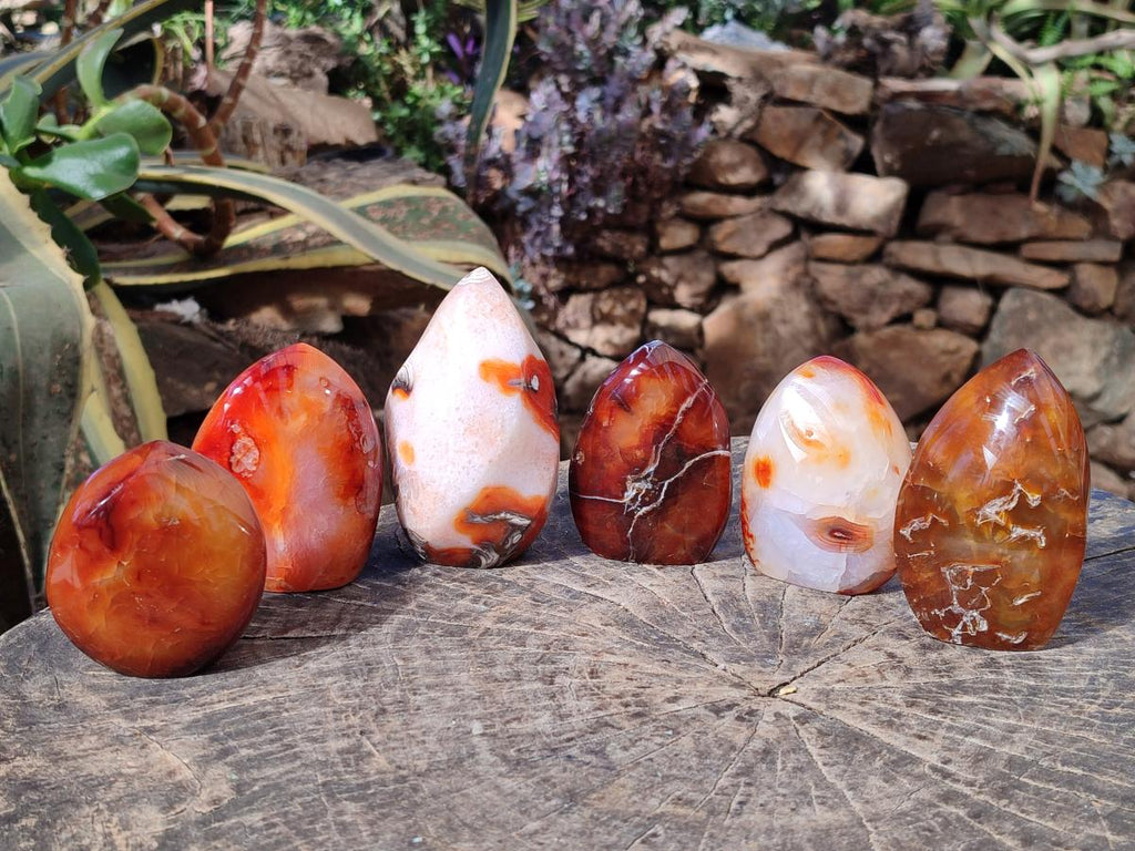 Polished Carnelian Agate Gemstone Standing Display Pieces x 6 From Madagascar - Toprock Gemstones and Minerals 