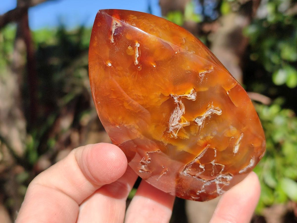 Polished Carnelian Agate Gemstone Standing Display Pieces x 6 From Madagascar - Toprock Gemstones and Minerals 