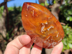 Polished Carnelian Agate Gemstone Standing Display Pieces x 6 From Madagascar - Toprock Gemstones and Minerals 