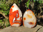 Polished Carnelian Agate Gemstone Standing Display Pieces x 6 From Madagascar - Toprock Gemstones and Minerals 