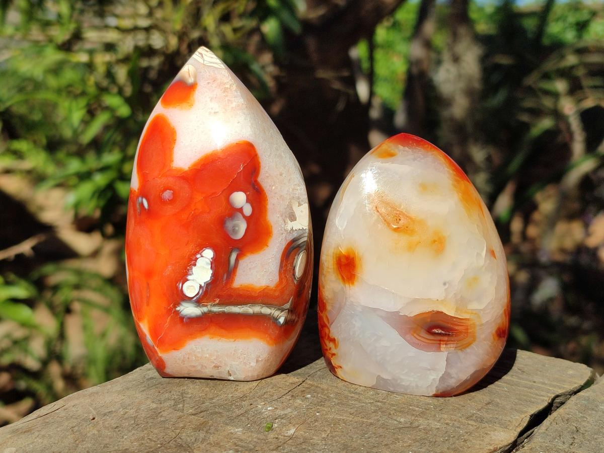 Polished Carnelian Agate Gemstone Standing Display Pieces x 6 From Madagascar - Toprock Gemstones and Minerals 