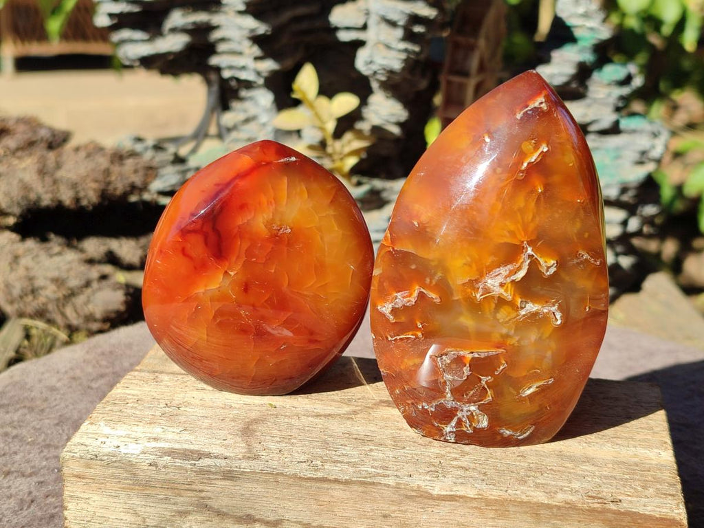Polished Carnelian Agate Gemstone Standing Display Pieces x 6 From Madagascar - Toprock Gemstones and Minerals 