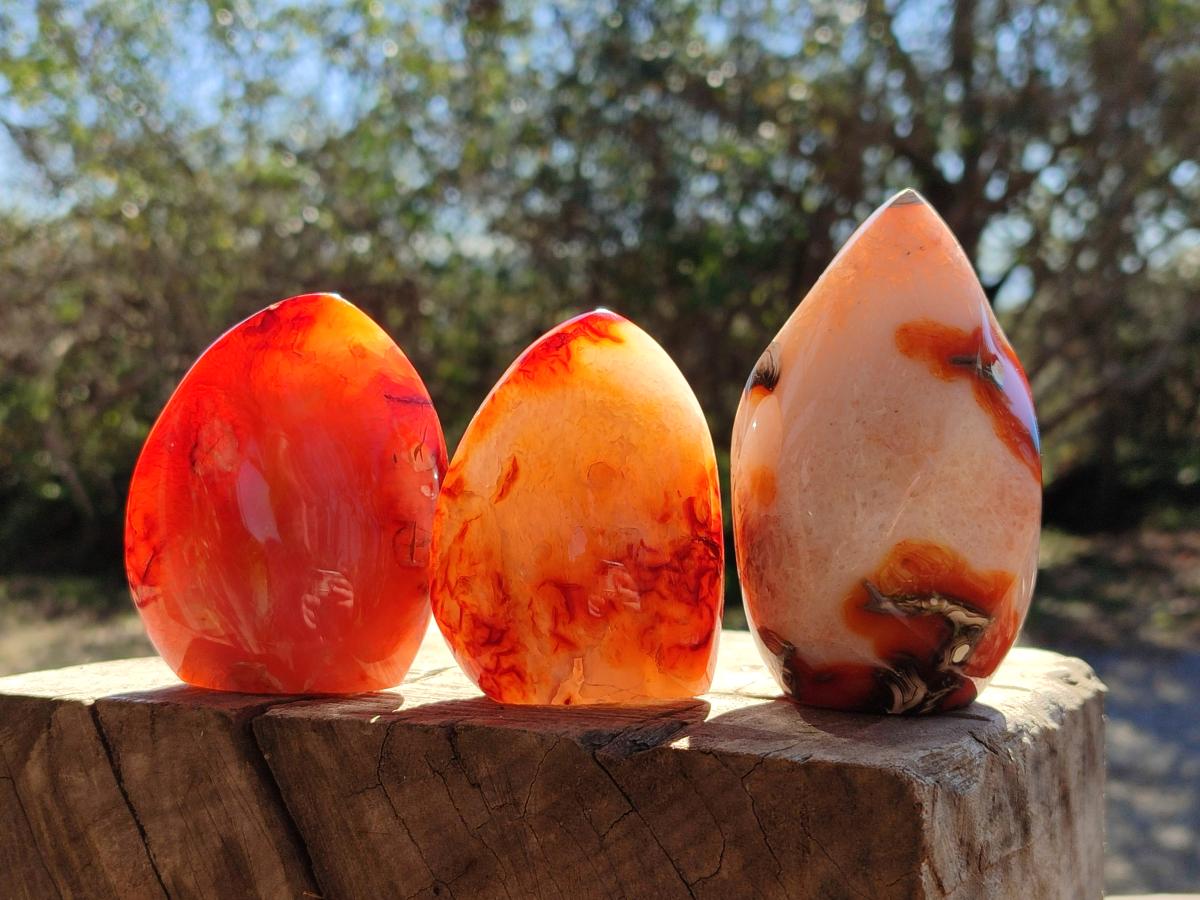Polished Carnelian Agate Gemstone Standing Display Pieces x 6 From Madagascar - Toprock Gemstones and Minerals 