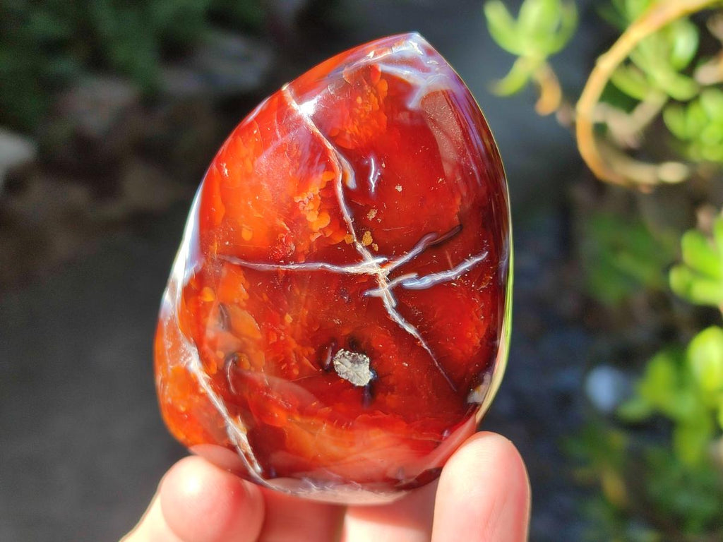Polished Carnelian Agate Gemstone Standing Display Pieces x 6 From Madagascar - Toprock Gemstones and Minerals 