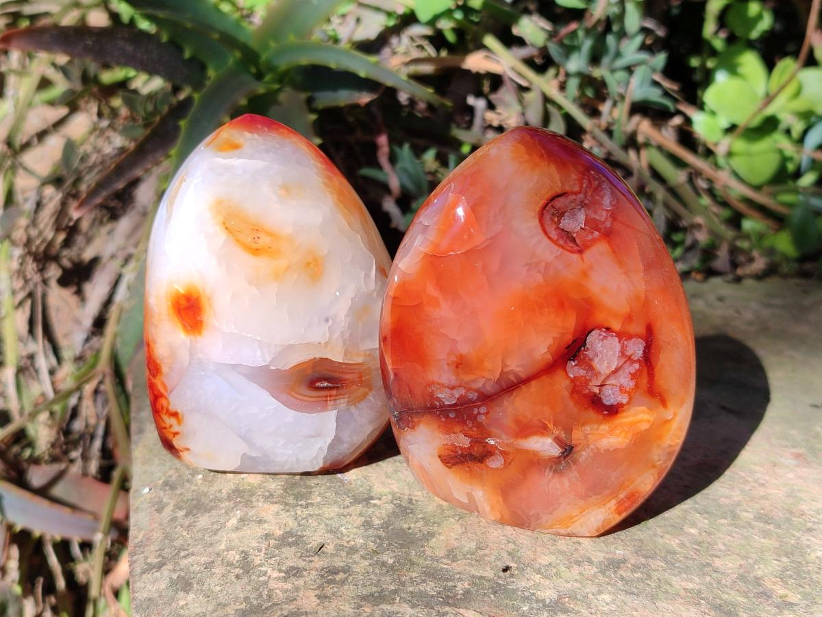 Polished Carnelian Agate Gemstone Standing Display Pieces x 6 From Madagascar - Toprock Gemstones and Minerals 