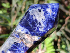 Polished Double Terminated Sodalite Crystals x 6 From Kunene River, Namibia - Toprock Gemstones and Minerals 