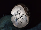 Polished XL Septerye Sauvage "Dragons Egg" Geode x 1 From Mahajanga, Madagascar - Toprock Gemstones and Minerals 