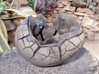 Polished XL Septerye Sauvage "Dragons Egg" Geode x 1 From Mahajanga, Madagascar - Toprock Gemstones and Minerals 