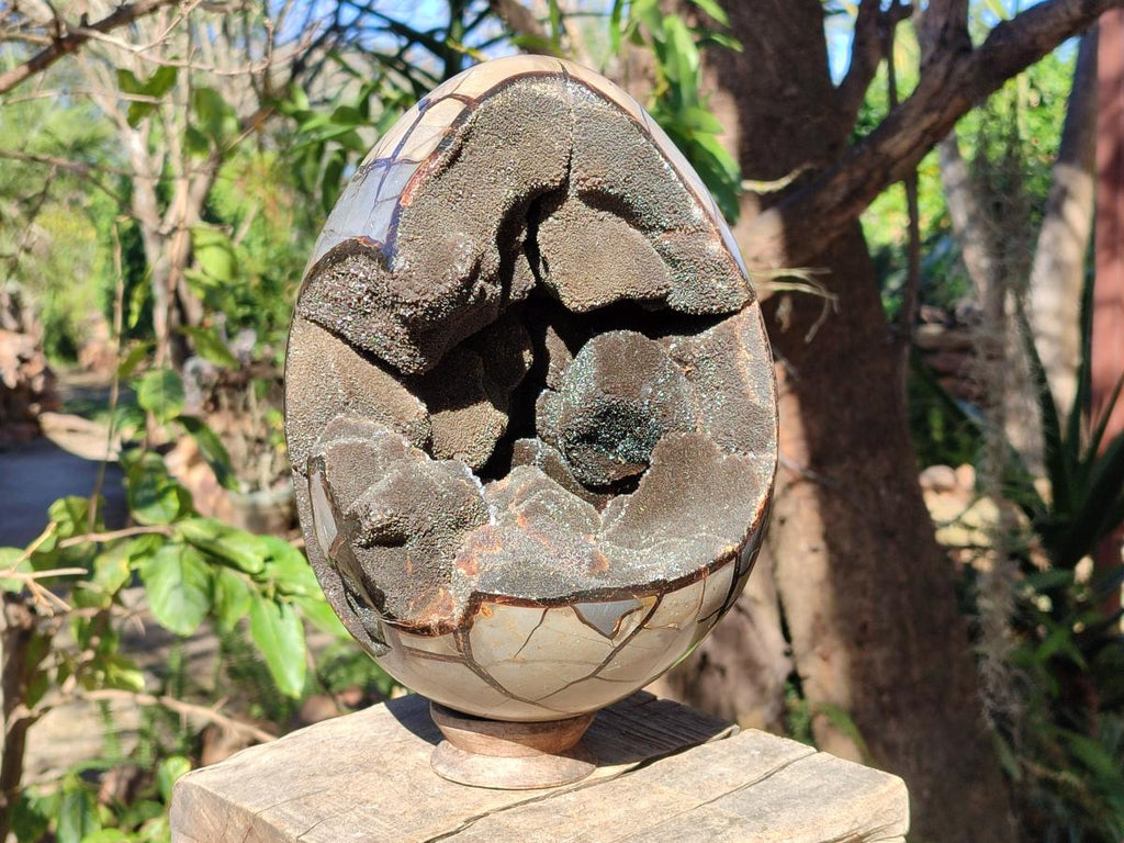 Polished XL Septerye Sauvage "Dragons Egg" Geode x 1 From Mahajanga, Madagascar - Toprock Gemstones and Minerals 
