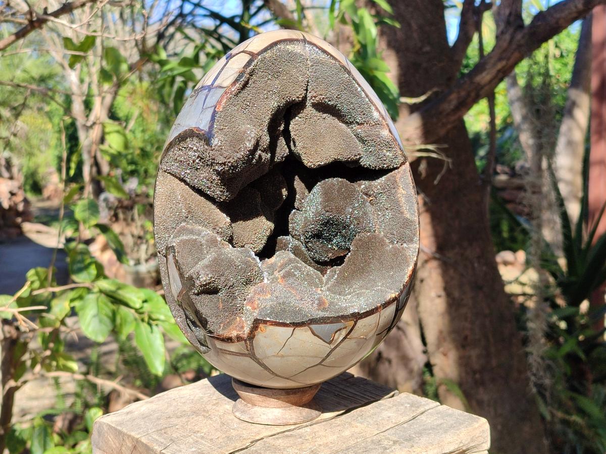 Polished XL Septerye Sauvage "Dragons Egg" Geode x 1 From Mahajanga, Madagascar - Toprock Gemstones and Minerals 