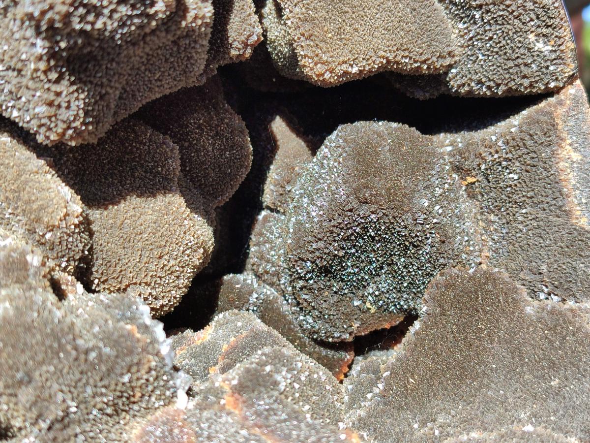 Polished XL Septerye Sauvage "Dragons Egg" Geode x 1 From Mahajanga, Madagascar - Toprock Gemstones and Minerals 
