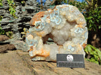 Polished XL Banded Agate Geode x 1 From Madagascar - Toprock Gemstones and Minerals 