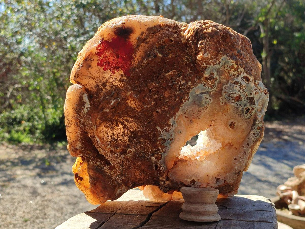 Polished XL Banded Agate Geode x 1 From Madagascar - Toprock Gemstones and Minerals 