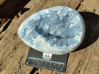 Polished Large Blue Celestite Egg x 1 From Sakoany, Madagascar - Toprock Gemstones and Minerals 