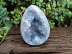 Polished Large Blue Celestite Egg x 1 From Sakoany, Madagascar - Toprock Gemstones and Minerals 